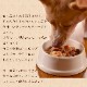 ΰ¿ȥȤϤ ȺΤΥ꡼ॷ塼100g1/12/30