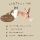ΰ¿ȥȤϤ ȺΤΥ꡼ॷ塼100g1/12/30