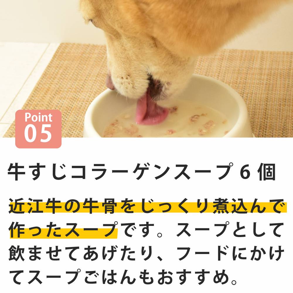 �����ѡ����٤��Ϥ�٤��� ���ܥȥåԥ󥰥��åȡ�����Ǥ��Ϥ���