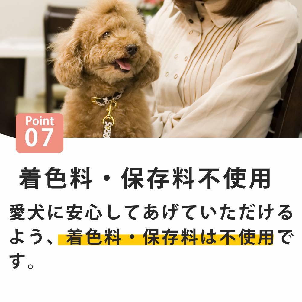 �����ѡ����٤��Ϥ�٤��� ���ܥȥåԥ󥰥��åȡ�����Ǥ��Ϥ���