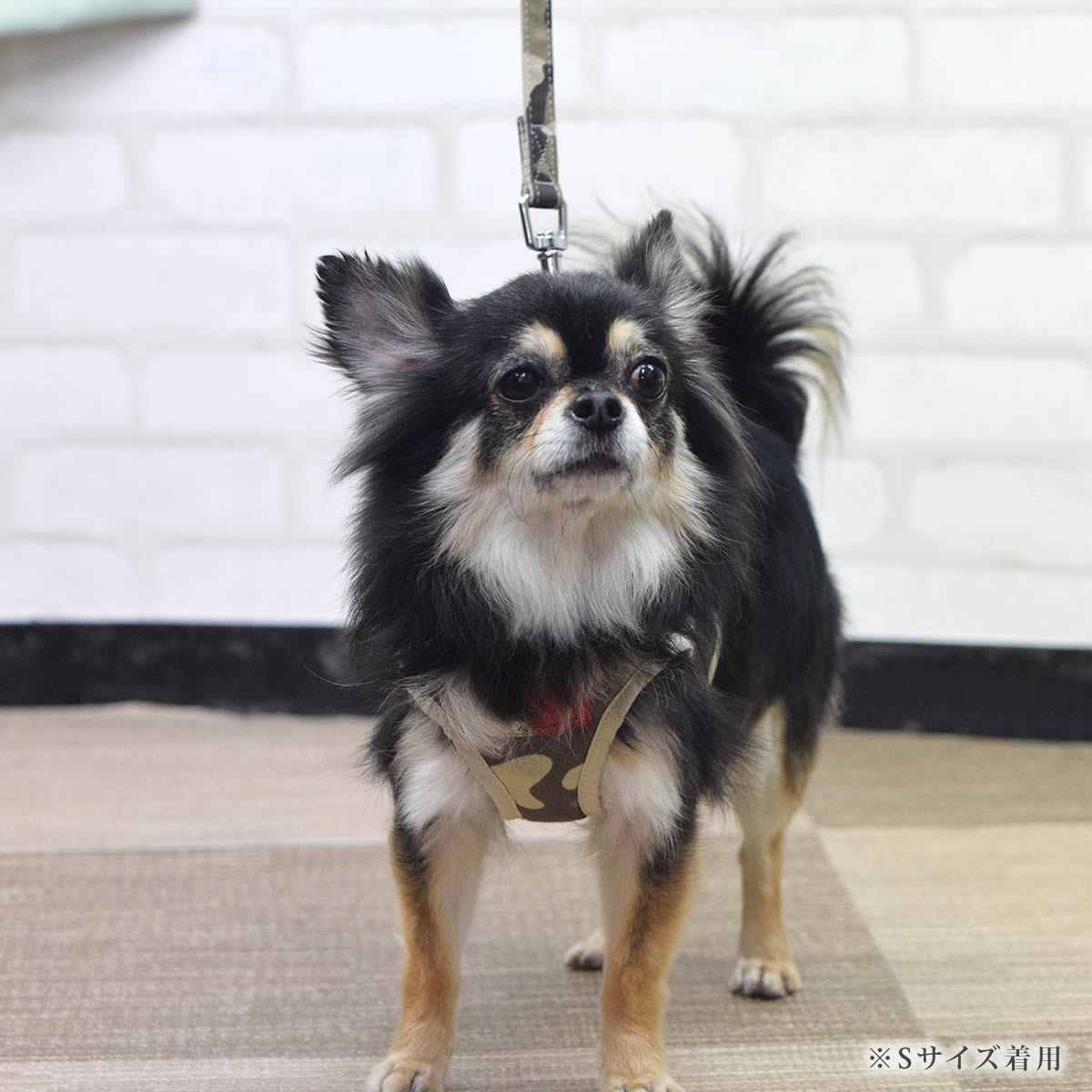 ѥϡͥASHUϡͥº̡åȡS