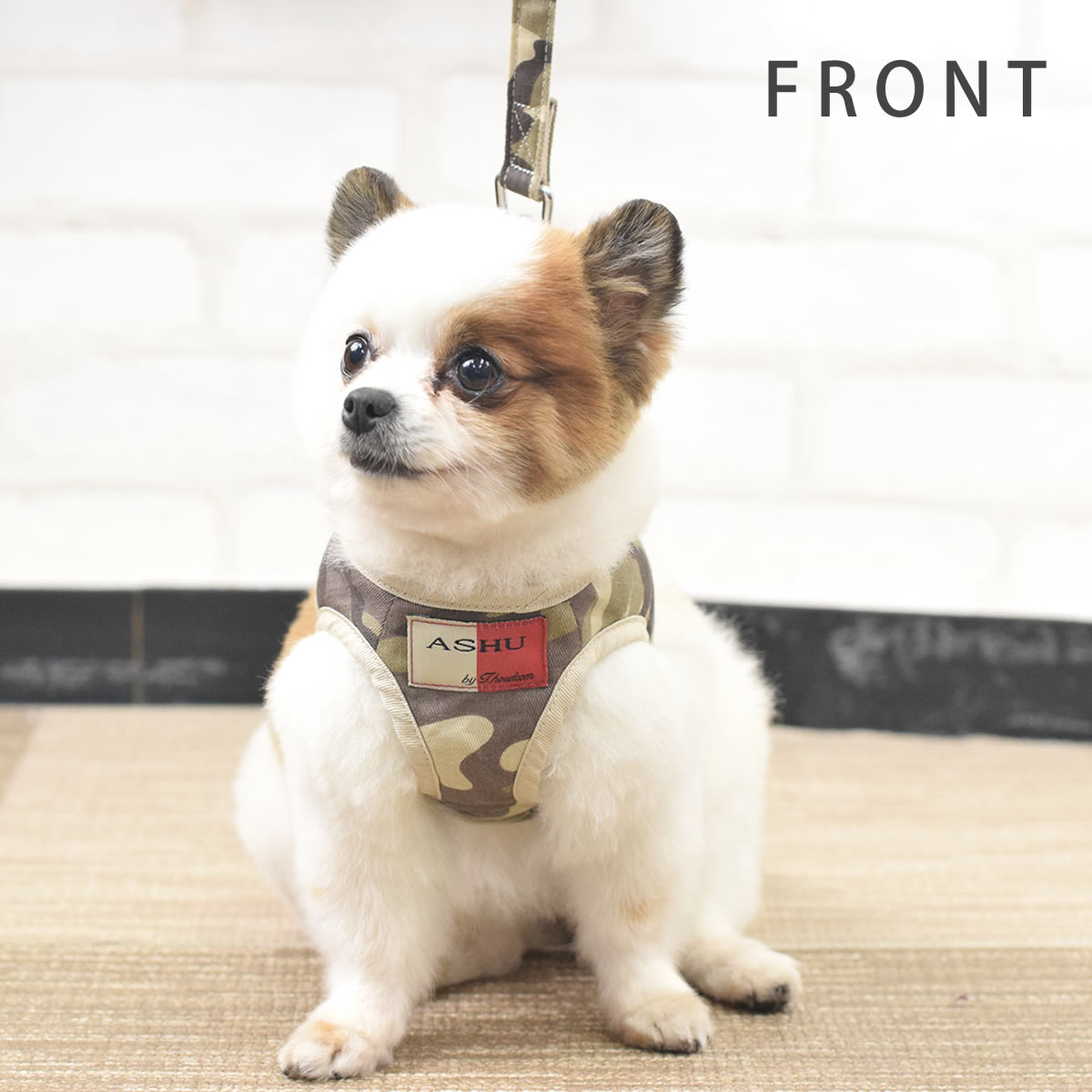 ѥϡͥASHUϡͥº̡åȡS