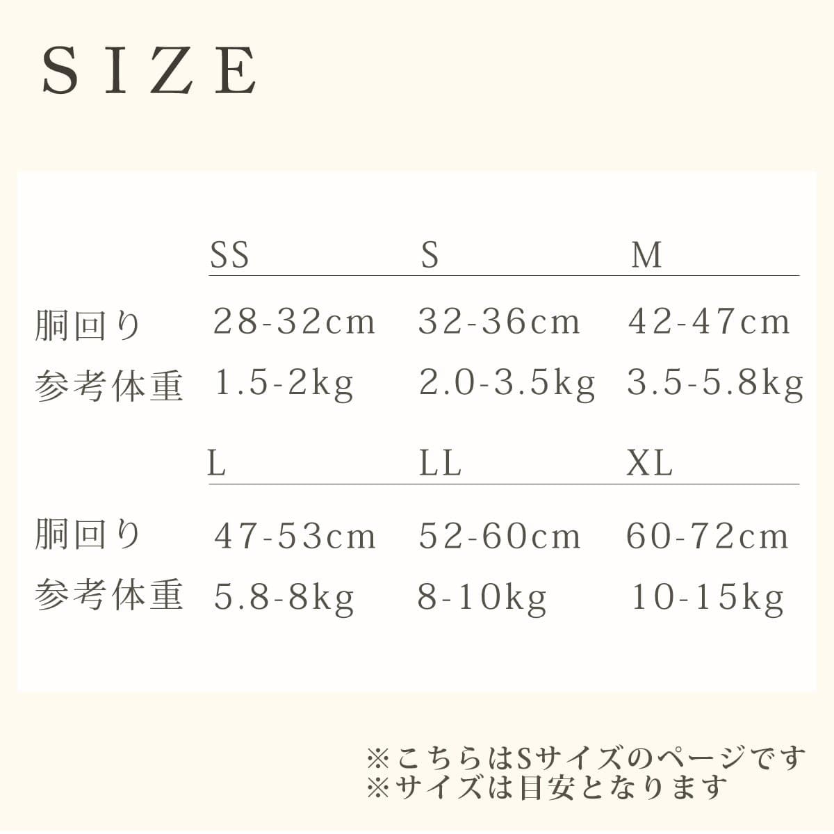 ѥϡͥASHUϡͥº̡åȡS