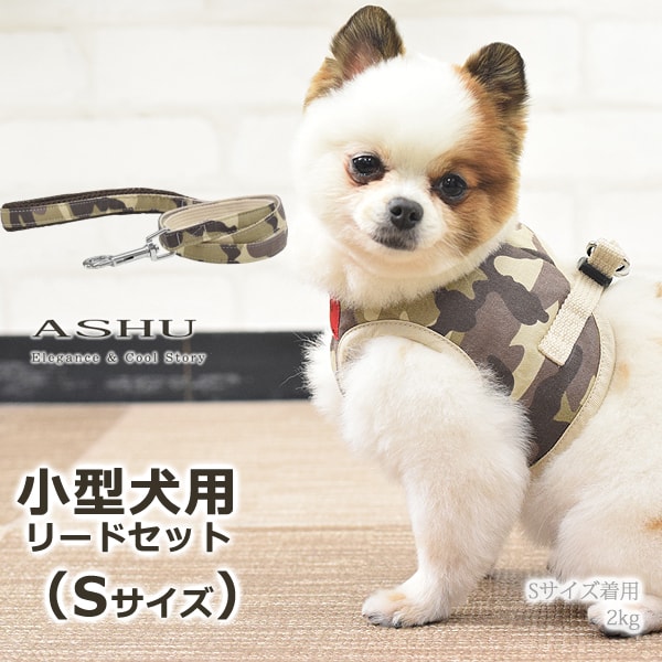 ѥϡͥASHUϡͥº̡åȡS