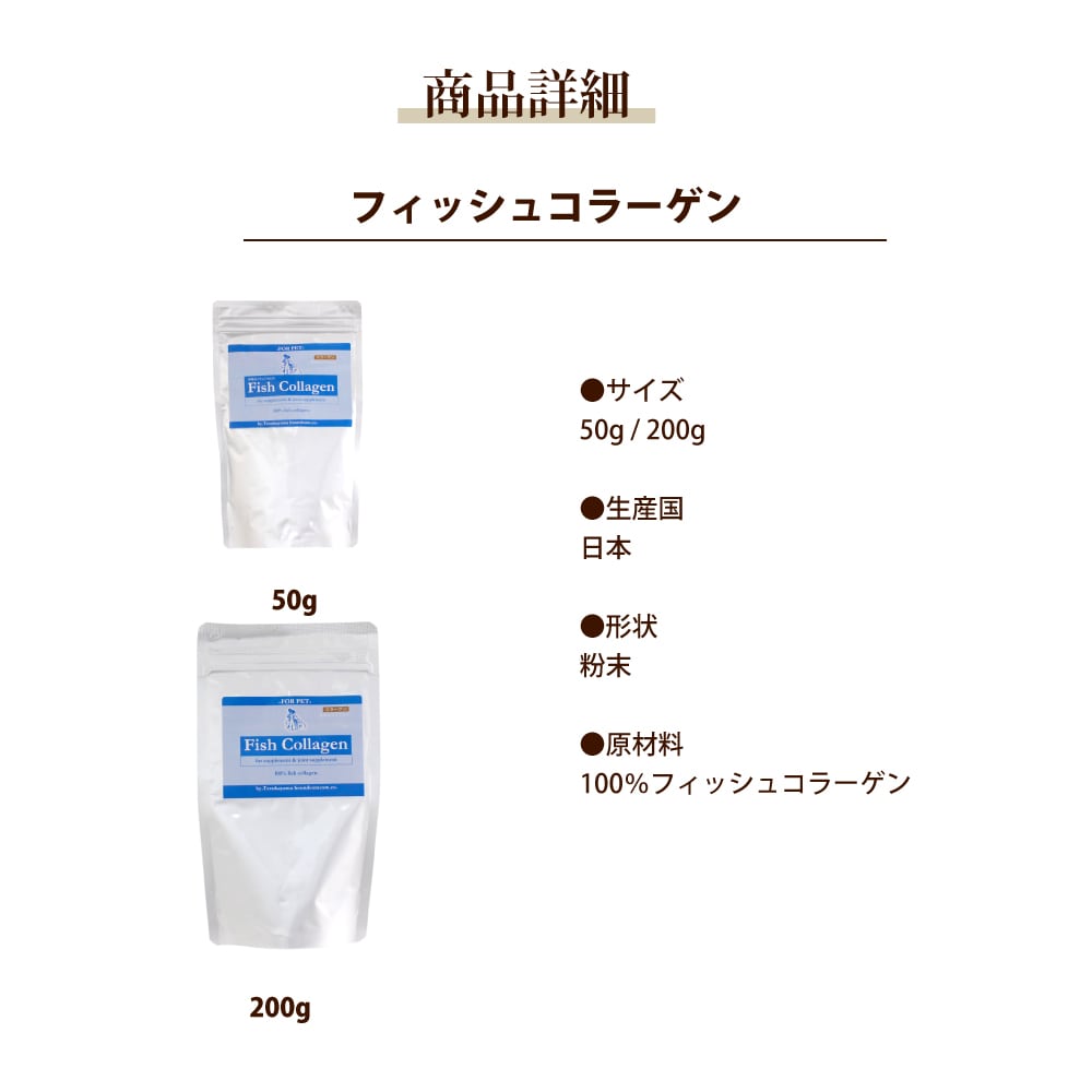 ǭ�Ѹ��ѥ��ץ���ȡåե��å��女�顼�������ӡ�����η򹯰ݻ�