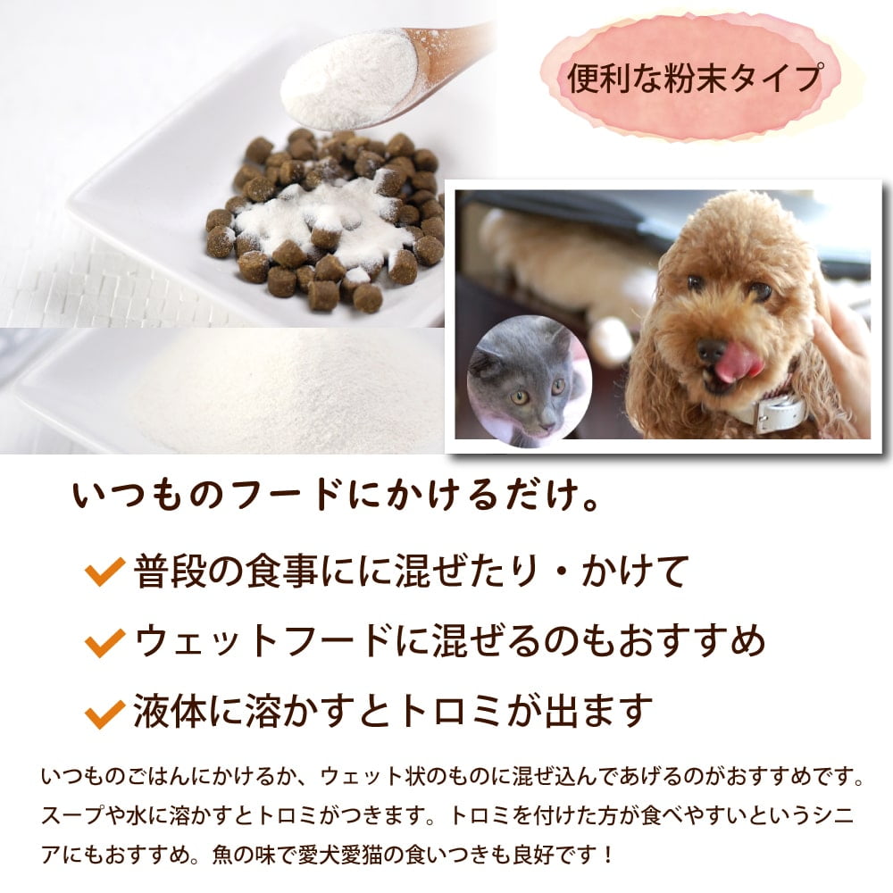 ǭ�Ѹ��ѥ��ץ���ȡåե��å��女�顼�������ӡ�����η򹯰ݻ�