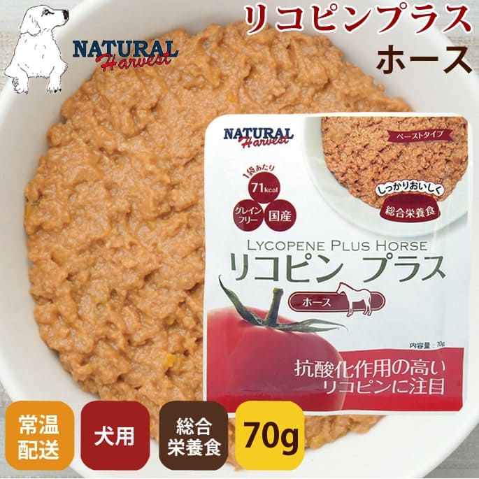 �ʥ�����ϡ��٥��� ��ȥ�ȡ� �ꥳ�ԥ�ץ饹 �ۡ���(��) 1�ޡ�������ܿ�