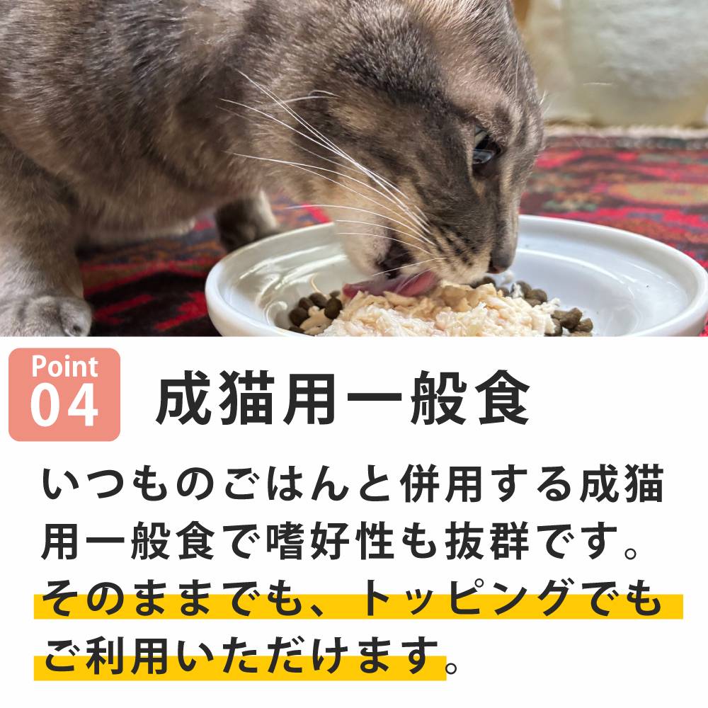 ǭ���ʥ����륳���ɡ����å��󥰥�����������01 ������ե��졡85g����ǭ�ѡ����̿��������ꥢ�֥��ɡ��̵͡ʥե졼�������ס�