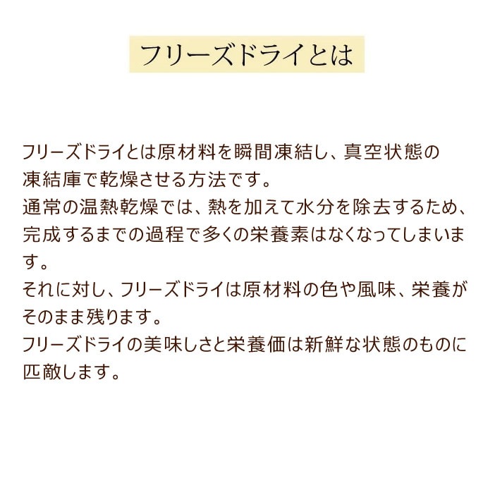 �ɥåȤ��ե꡼���ɥ饤�����󡡥ߥ�12��