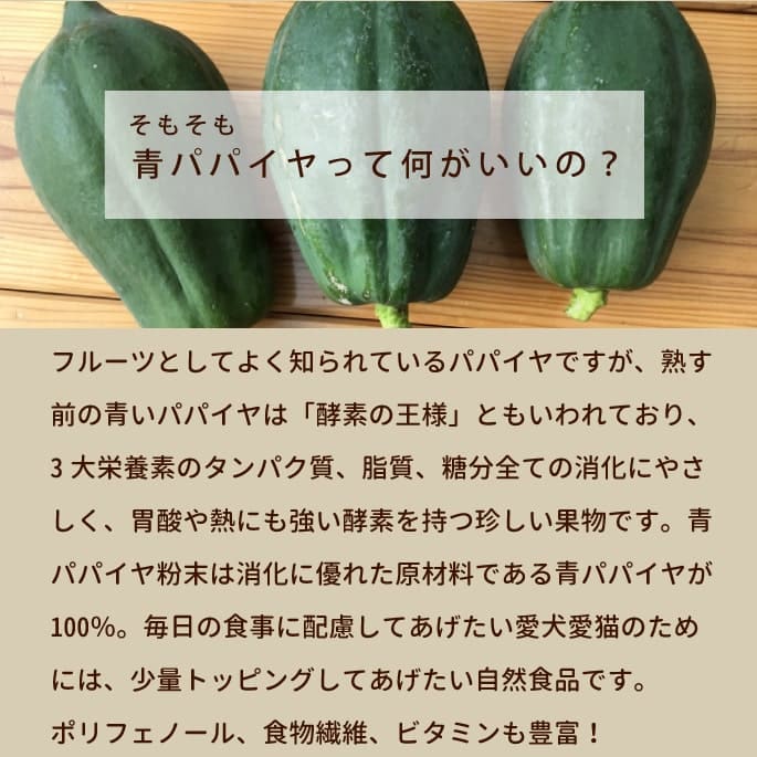 ǭ 꿩þòĥѥѥʴ 60ga0047