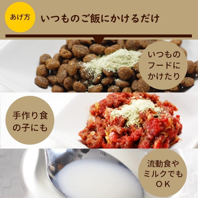 ǭ 꿩þòĥѥѥʴ 60ga0047