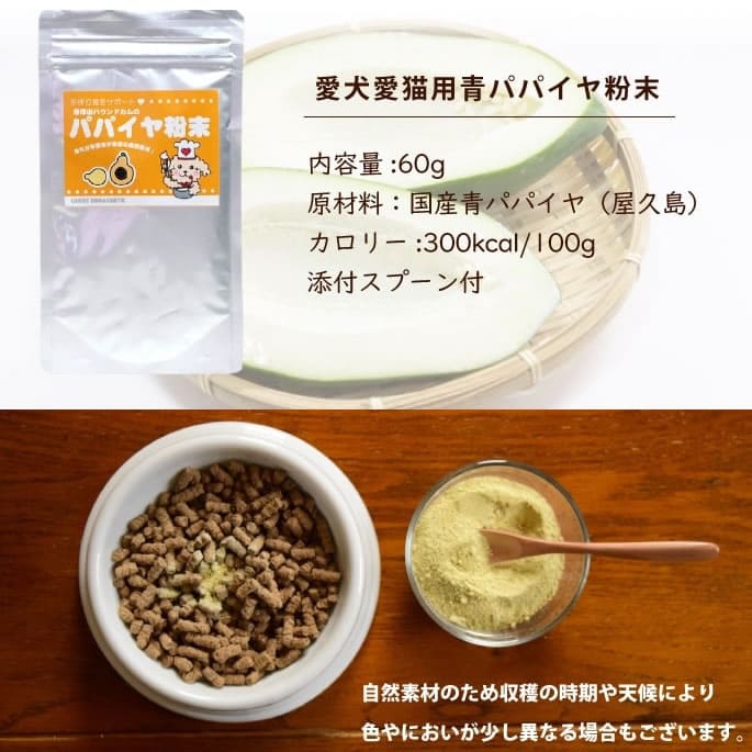 ǭ 꿩þòĥѥѥʴ 60ga0047