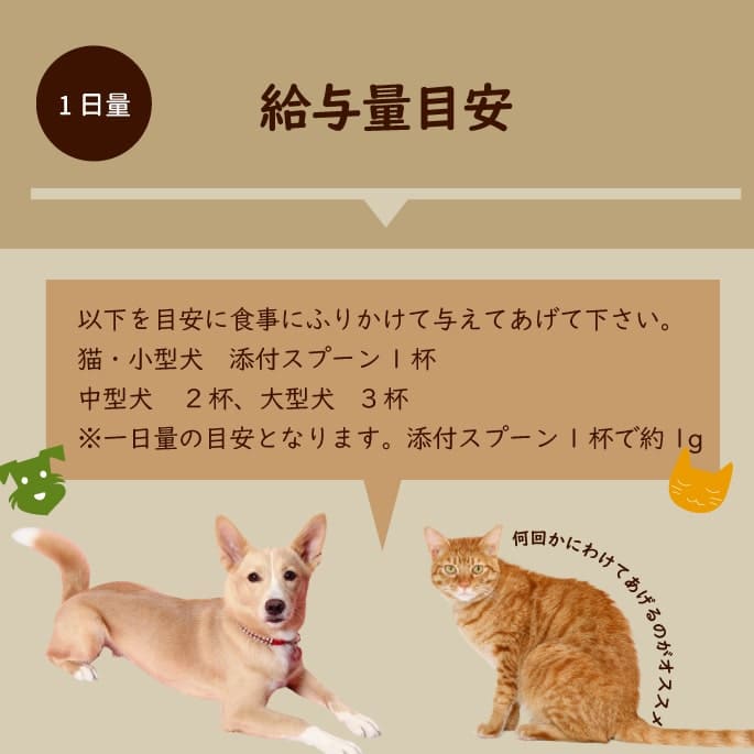 ǭ 꿩þòĥѥѥʴ 60ga0047