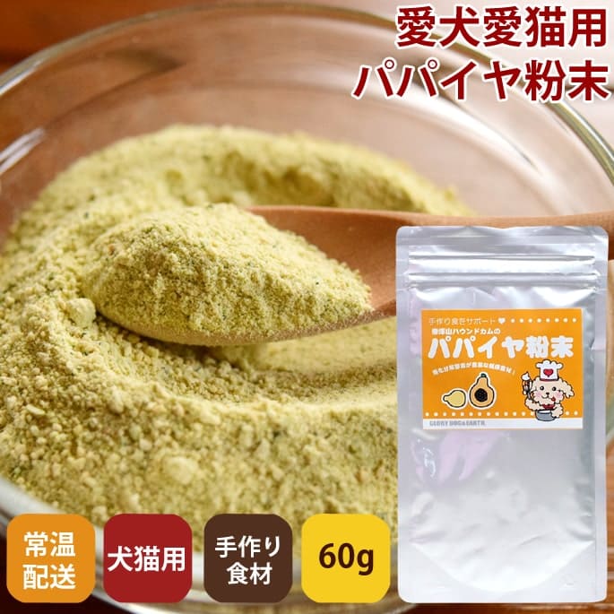 ǭ 꿩þòĥѥѥʴ 60ga0047