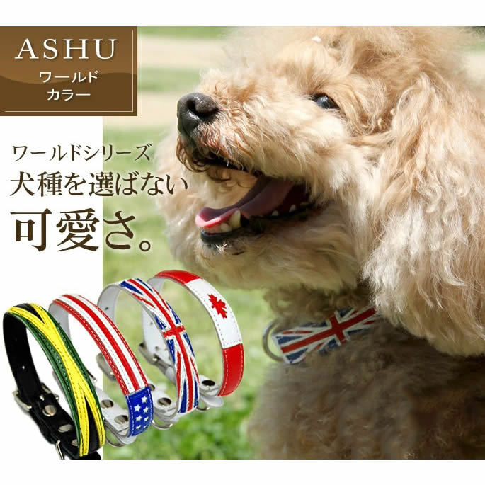 �淿���Ѽ��ء�ASHU�����ɡ����顼���ͥ�����