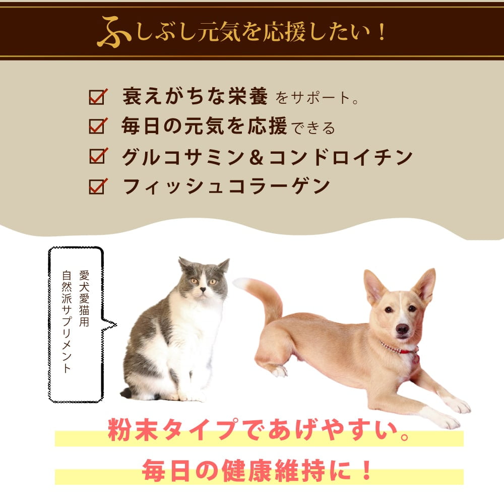 ǭ�ѥ��ץ���ȡäդ��֤�����������η򹯰ݻ��ˡ���ǭ����