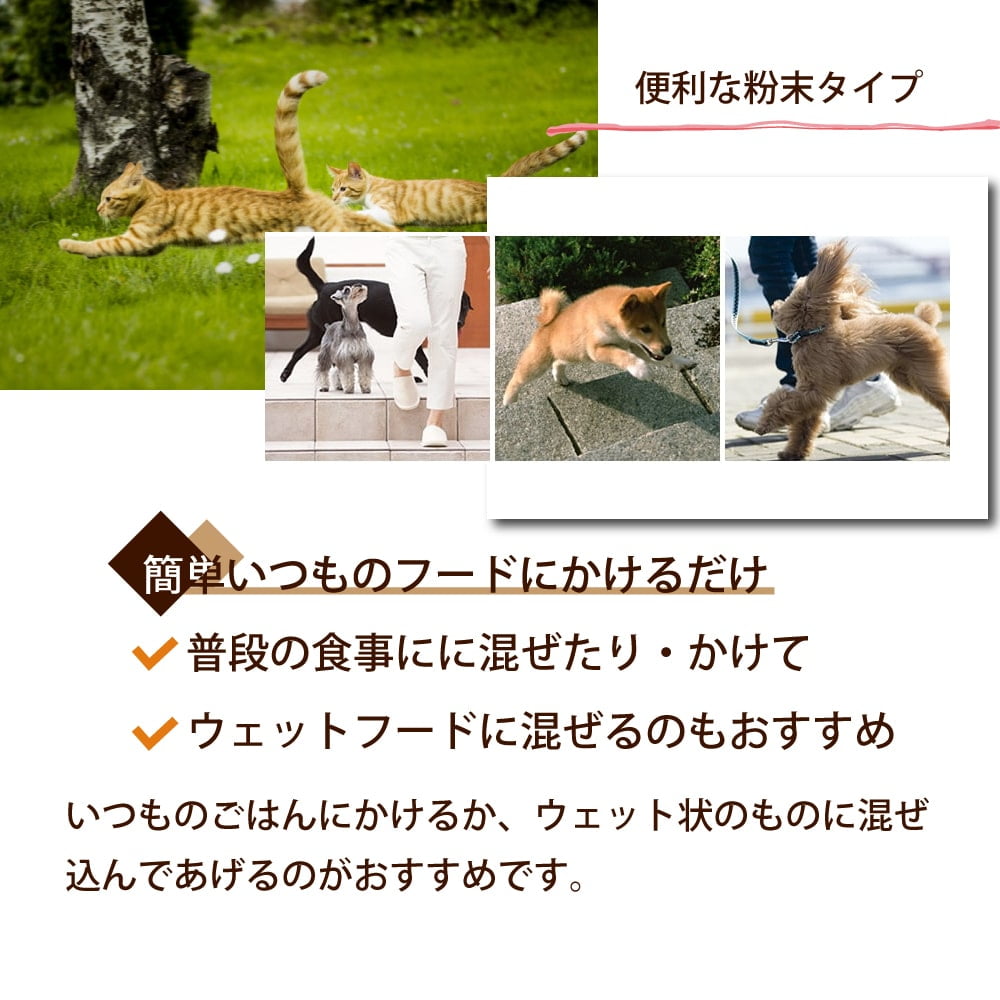 ǭ�ѥ��ץ���ȡäդ��֤�����������η򹯰ݻ��ˡ���ǭ����