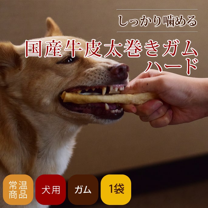 �����ѥ��� �񻺵�������������ϡ���