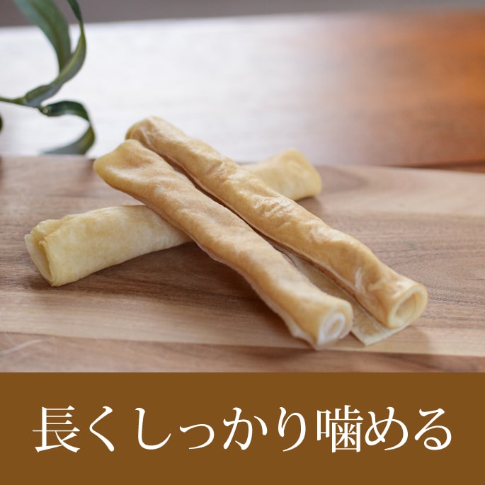 �����ѥ��� �񻺵�������������ϡ���