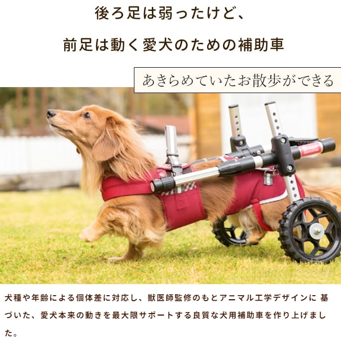 歩行補助車 ドギーサポーター 本体S+ハーネス1型セット