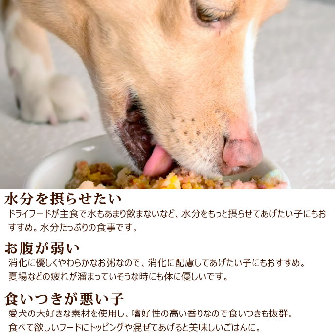 �ڤޤȤ��㤤�ǥ��ޥ��դ��� �¿���ȥ�Ȥ��Ϥ� �����Ȥ��ܤ���Υߥ륯���� 12+2�ޥ��å�