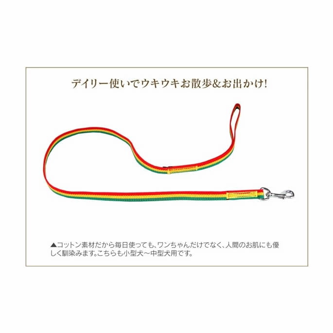���ѥ꡼�ɡ�ASHU���饹�������꡼�ɡ����������淿����