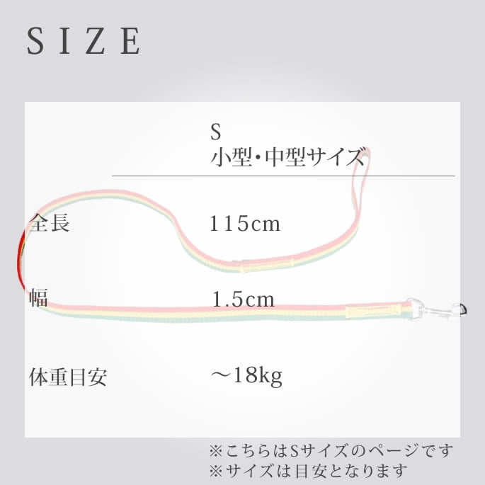 ���ѥ꡼�ɡ�ASHU���饹�������꡼�ɡ����������淿����