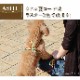 ���ѥ꡼�ɡ�ASHU���饹�������꡼�ɡ����������淿����