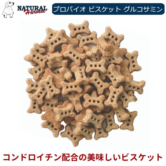 �ʥ�����ϡ��٥��� | �� ����� | �ץ��Х����ӥ����å� | ���륳���ߥ�