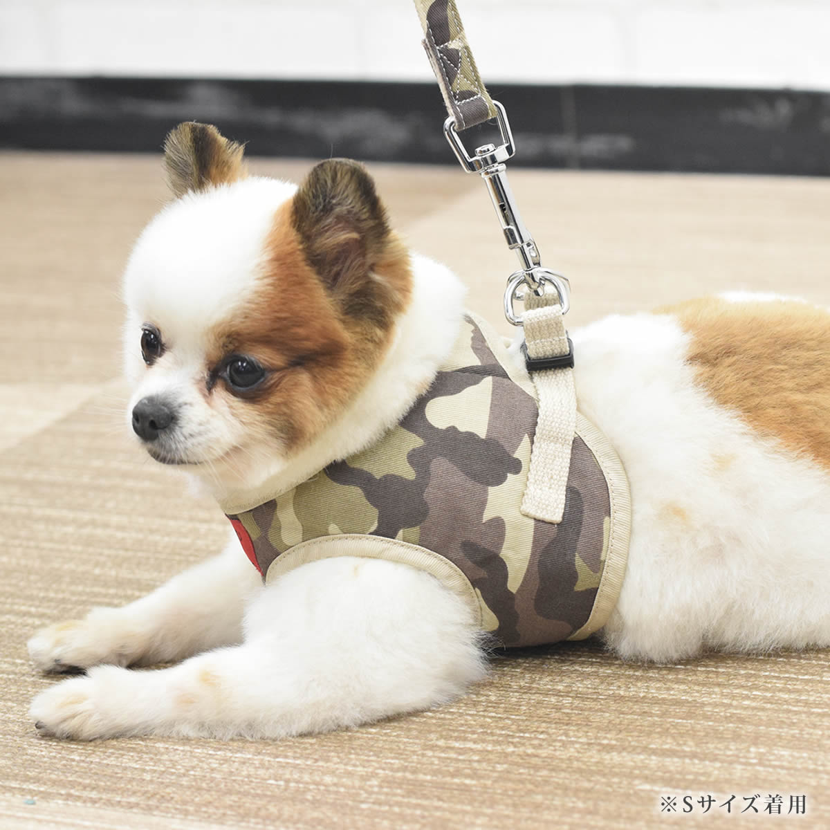 ѥϡͥ淿ASHUϡͥº̡åȡL