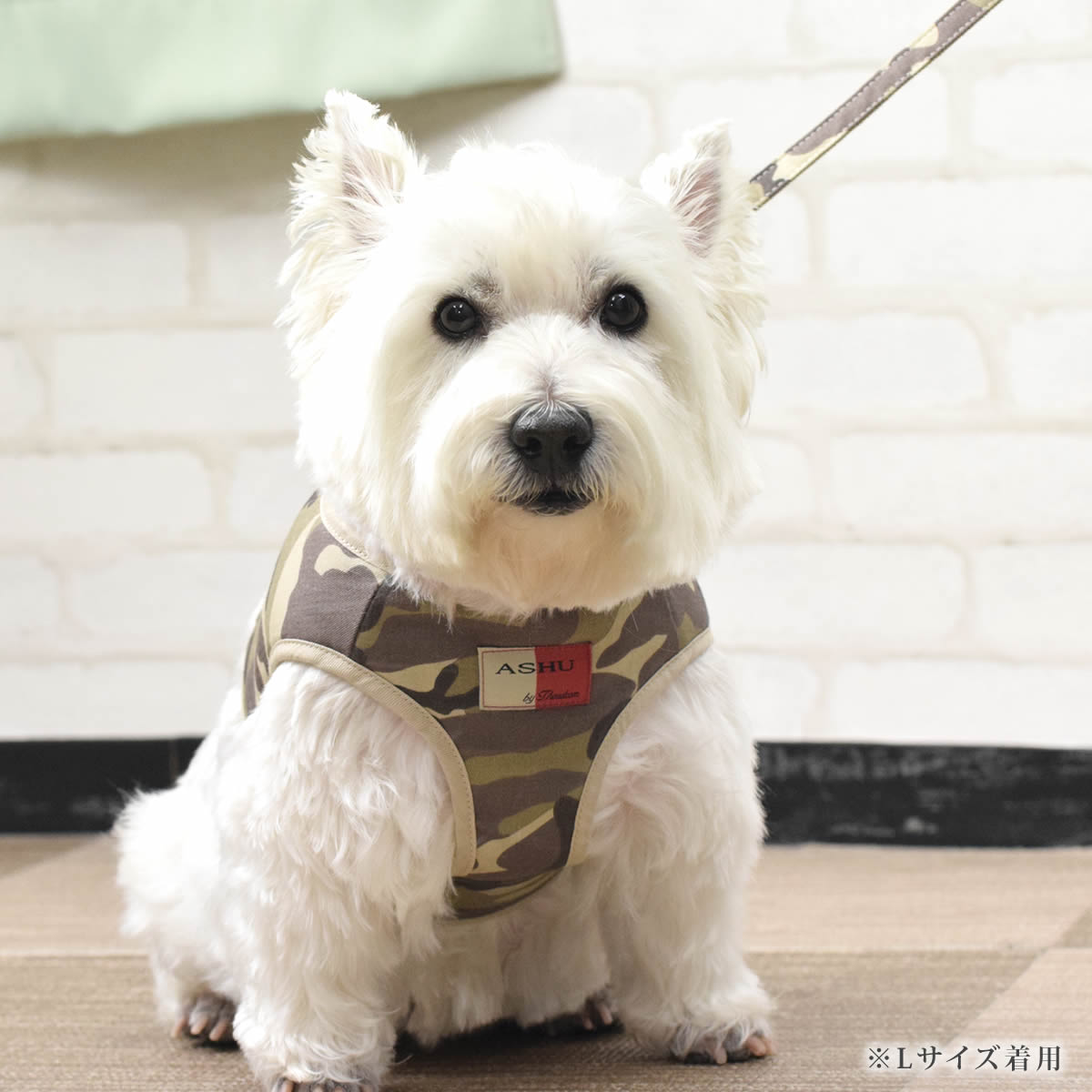 ѥϡͥ淿ASHUϡͥº̡åȡL