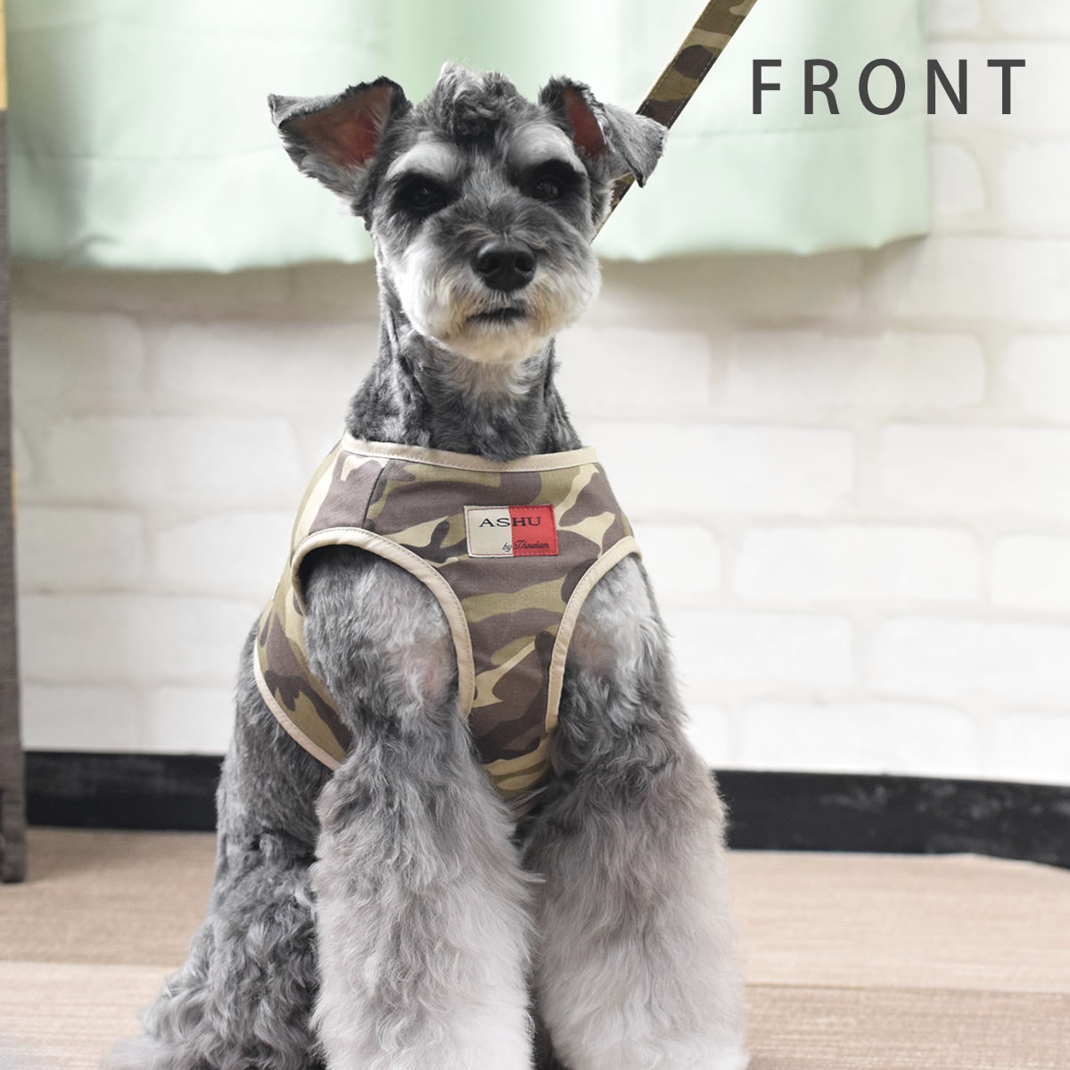 ѥϡͥ淿ASHUϡͥº̡åȡL