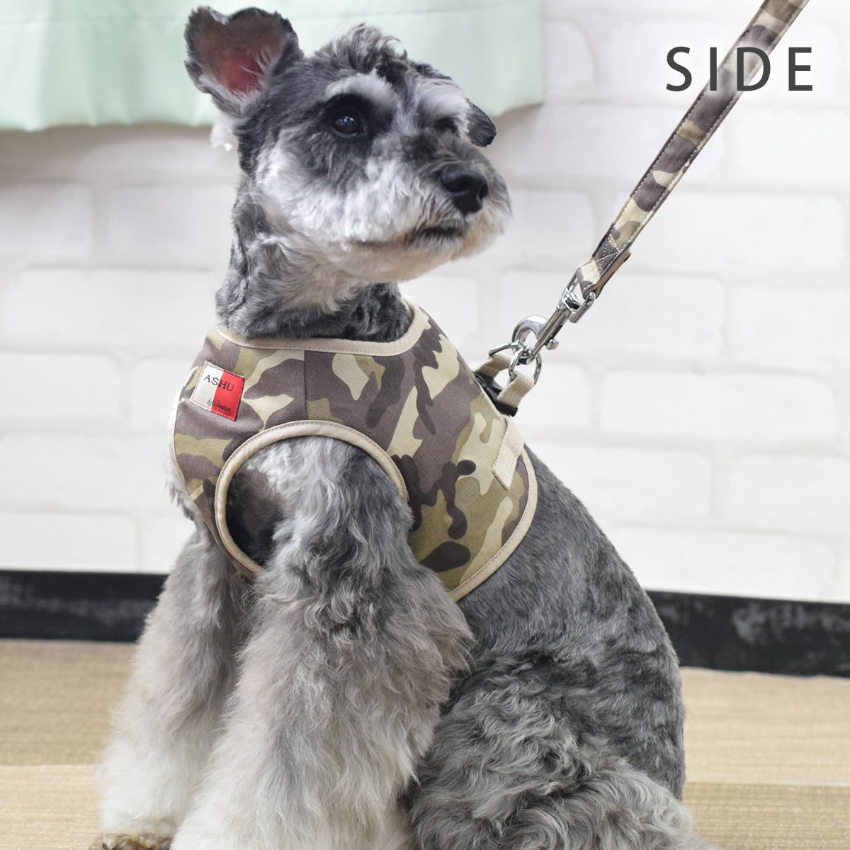 ѥϡͥ淿ASHUϡͥº̡åȡL