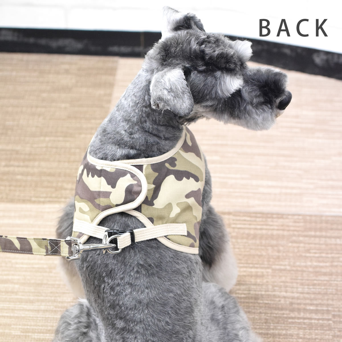 ѥϡͥ淿ASHUϡͥº̡åȡL