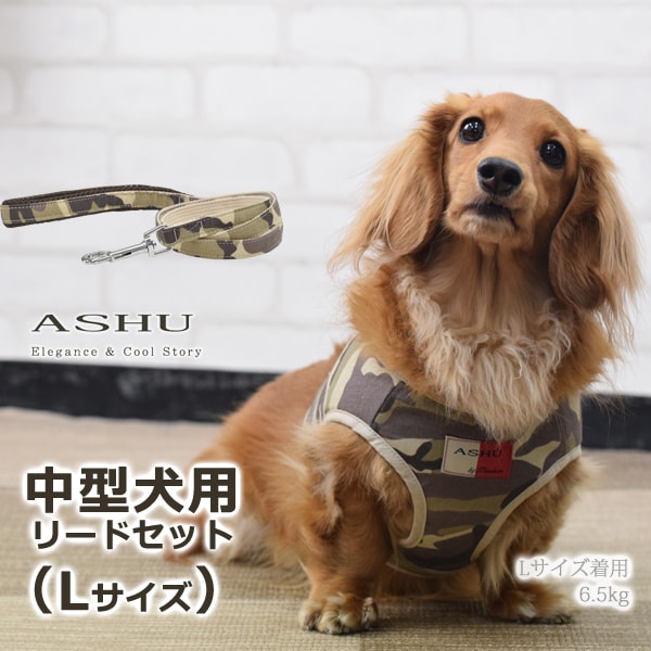 ѥϡͥ淿ASHUϡͥº̡åȡL