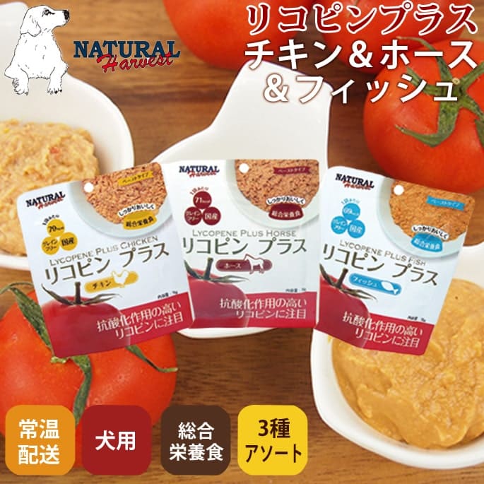 ʥϡ٥ ȥȡ ꥳԥץ饹 3ॢȥå(󡢥ۡեå)