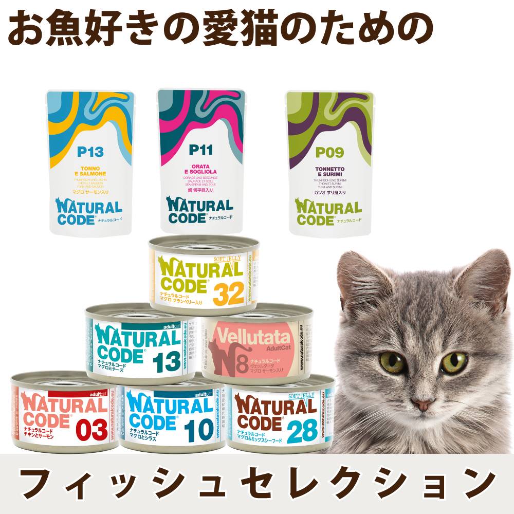 ǭ���ʥ����륳���ɡ��ե��å��奻�쥯�����85g��6�70g��3�(��9��߳�1��)����ǭ�ѡ����̿��������ꥢ�֥��ɡ��̵͡��ѥ���