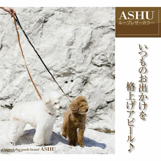 ���ѥ꡼�ɡ�ASHU���롼�ץ쥶���꡼�ɡ����������淿��