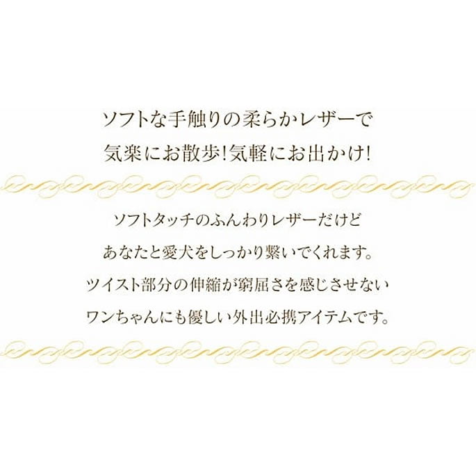 ���ѥ꡼�ɡ�ASHU���롼�ץ쥶���꡼�ɡ����������淿��