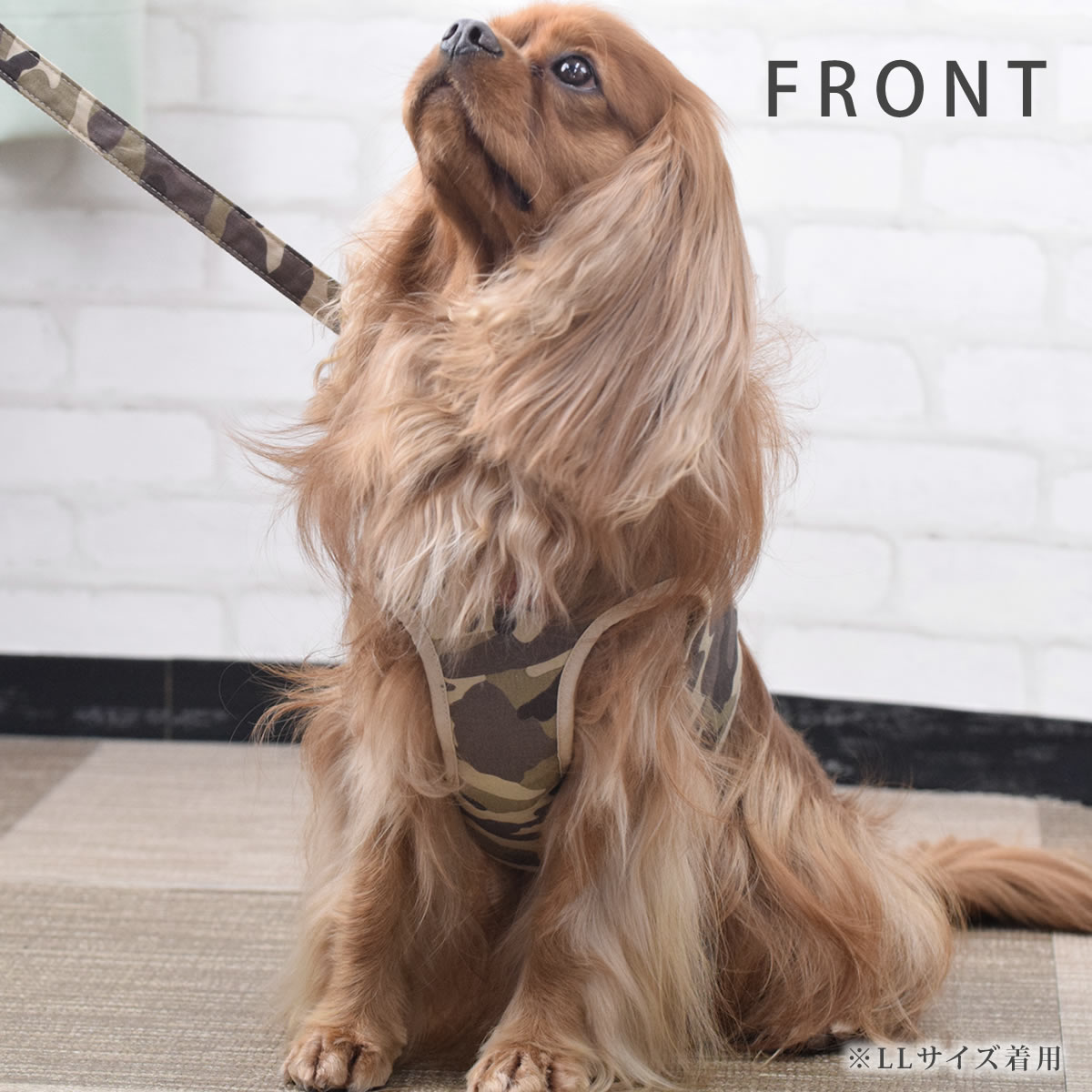 ѥϡͥ淿ASHUϡͥº̡åȡXL