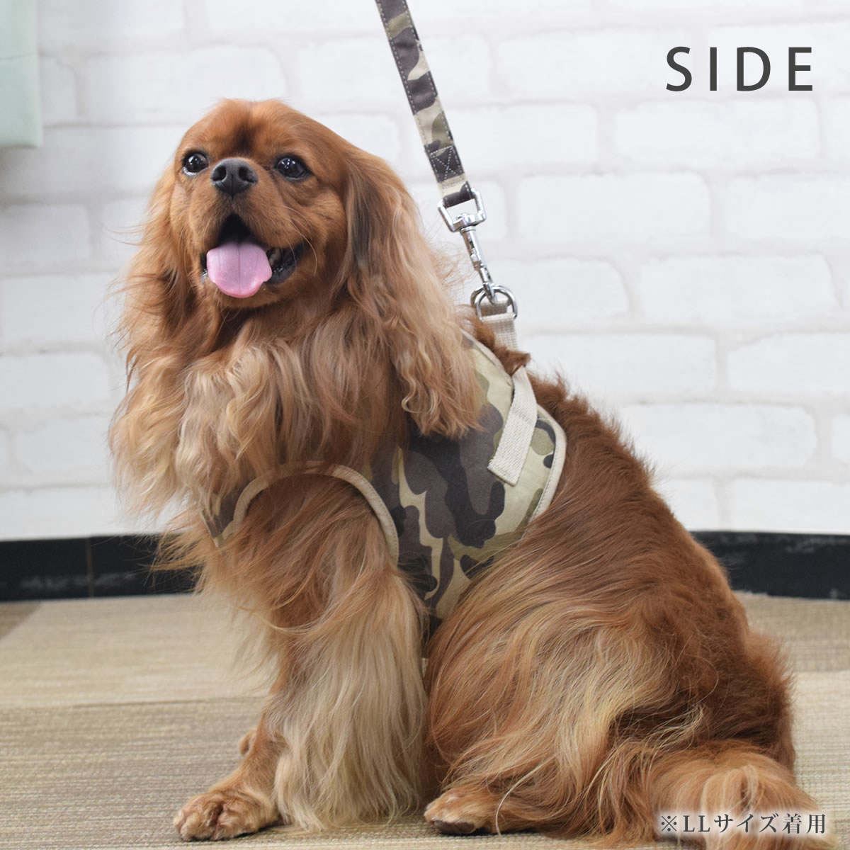 ѥϡͥ淿ASHUϡͥº̡åȡXL