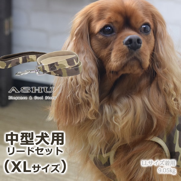 ѥϡͥ淿ASHUϡͥº̡åȡXL