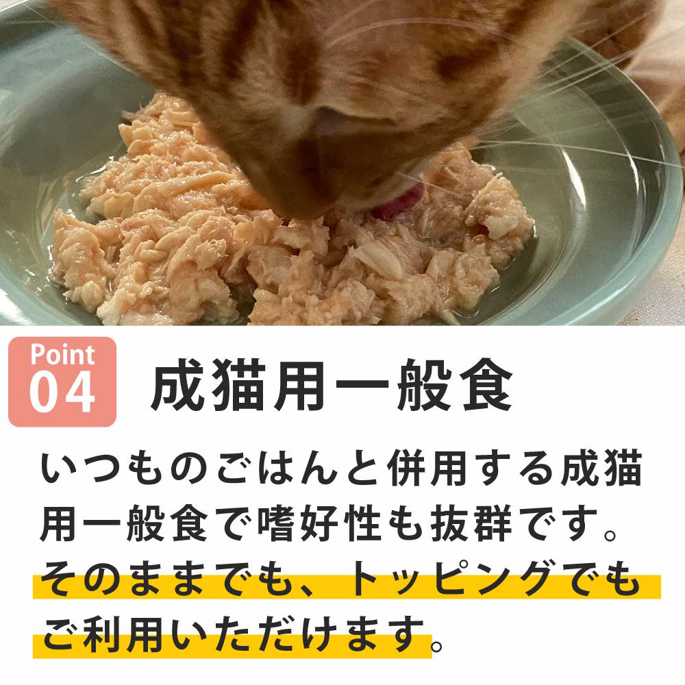ǭ���ʥ����륳���ɡ����å��󥰥�����������NC03 ������ȥ������85g����ǭ�ѡ����̿��������ꥢ�֥��ɡ��̵͡ʥե졼�������ס�