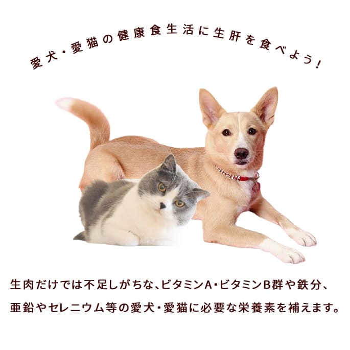 ���� �����ù� �绳�ɤ꤭�⡡��300g��Ŵʬ���������äפ��������Ǥ��Ϥ�����a0020�ۢ���ǭ�ˤ⤴���Ѥ��������ޤ�