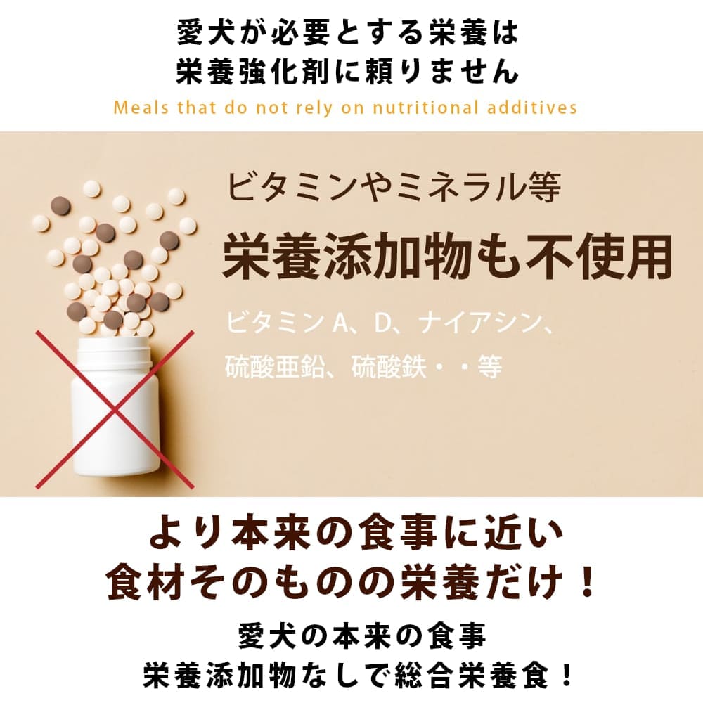 ホリスティッククッキング フィッシュ2kg(1kg×2袋) 初回限定送料無料】ホリスティッククッキング フィッシュ 1kg