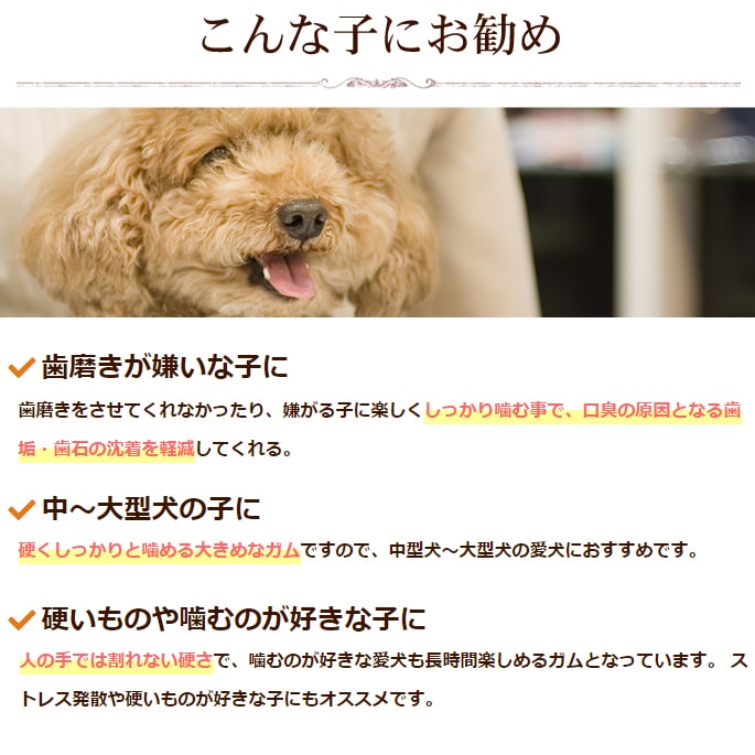 �����ѥ��� �񻺵�������������ϡ��� 10�ޥ��å�+1��