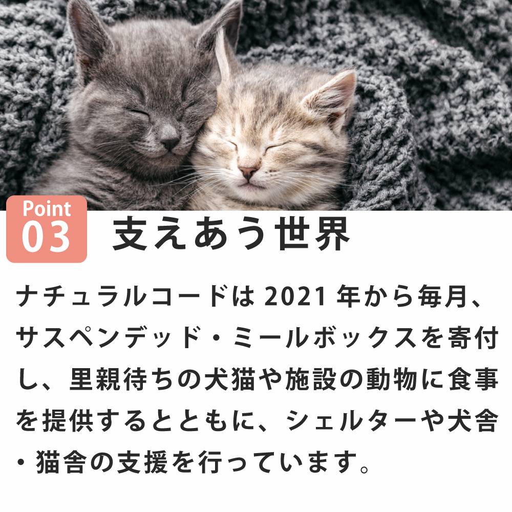 ǭ���ʥ����륳���ɡ����å��󥰥�����������NC10 �ޥ����ȥ��饹��85g����ǭ�ѡ����̿��������ꥢ�֥��ɡ��̵͡ʥե졼�������ס�