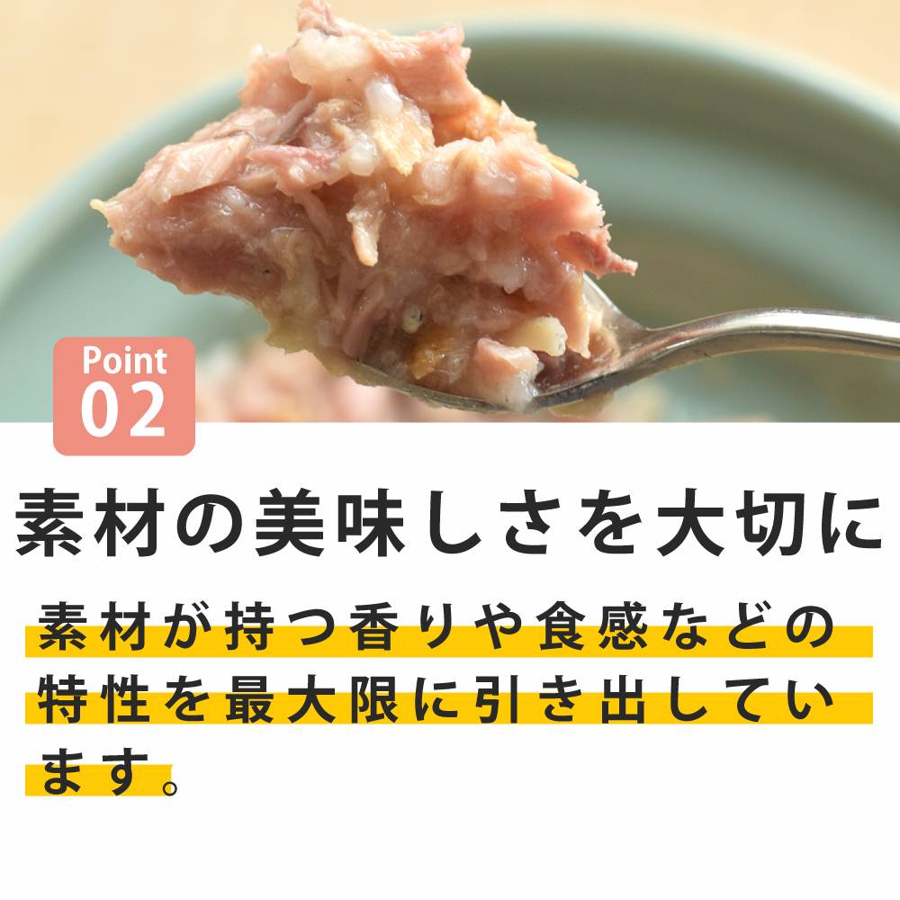 ǭ���ʥ����륳���ɡ����å��󥰥�����������NC10 �ޥ����ȥ��饹��85g����ǭ�ѡ����̿��������ꥢ�֥��ɡ��̵͡ʥե졼�������ס�