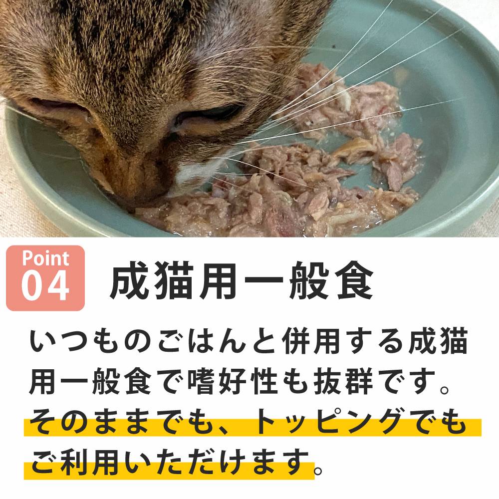 ǭ���ʥ����륳���ɡ����å��󥰥�����������NC10 �ޥ����ȥ��饹��85g����ǭ�ѡ����̿��������ꥢ�֥��ɡ��̵͡ʥե졼�������ס�