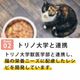 ǭ���ʥ����륳���ɡ����å��󥰥�����������NC10 �ޥ����ȥ��饹��85g����ǭ�ѡ����̿��������ꥢ�֥��ɡ��̵͡ʥե졼�������ס�
